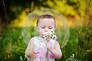 Little girl with the daisy