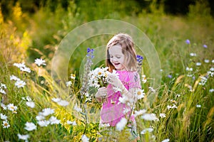 Little girl in daisy flower field