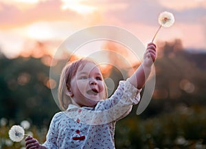 Little girl with dandelion