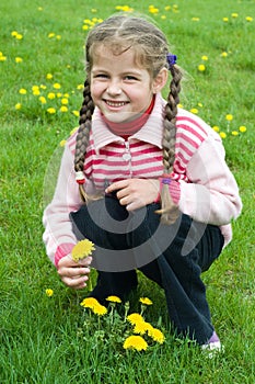 Little girl in dandelion field