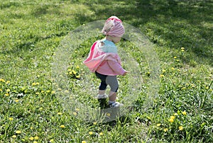 Little girl on dandelion lawn