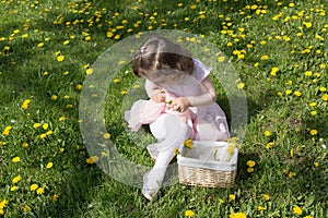 Little girl on dandelion lawn pick up dandelions in a basket