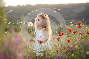 A little girl with a dandelion on a summer meadow