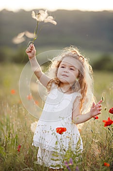 A little girl with a dandelion on a summer meadow