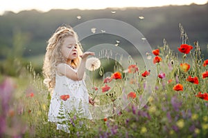 A little girl with a dandelion on a summer meadow