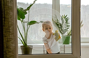 A little girl diligently washing a window.