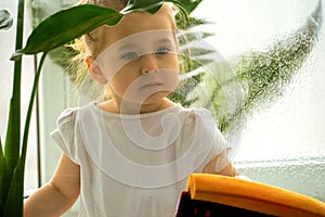 A little girl diligently washing a window.