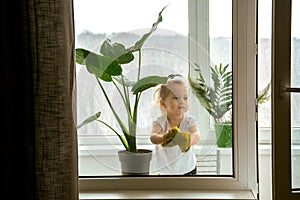 A little girl diligently washing a window.