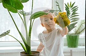 A little girl diligently washing a window