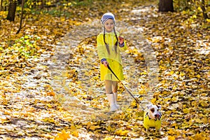 Little girl with a dog jack russell terrier. Child, childhood, friendship and pet concept. Small dog walking in the