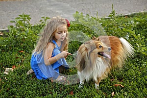 Little girl with a dog Sheltie