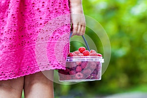 Little girl in dress child hand holdind small basket of ripe raspberries. Close-up