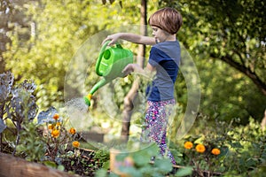 Little girl enjoy gardening in urban community garden