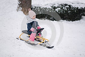 Little girl enjoy a sleigh ride. Kid sledding. Kids sled in park in winter. Outdoor fun for family Christmas vacation