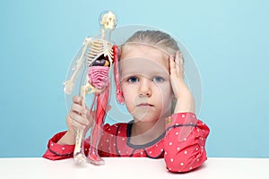 Little girl explore the structure of human body.