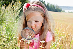 Little girl exploring the daisy through magnifying glass