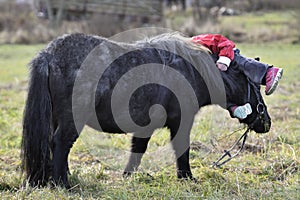 Little girl falling from little pony. Shes holding horse neck, visible only blonde hair,legs