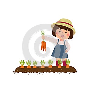 Little girl farmer harvesting carrots in the garden