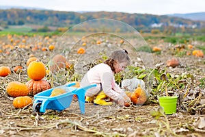 Little girl farming on pumpkin patch