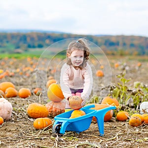 Little girl farming on pumpkin patch