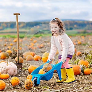 Little girl farming on pumpkin patch