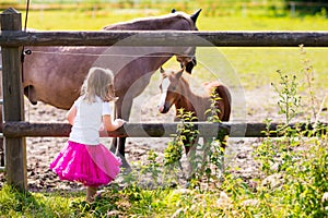 Little girl feeding baby horse on ranch