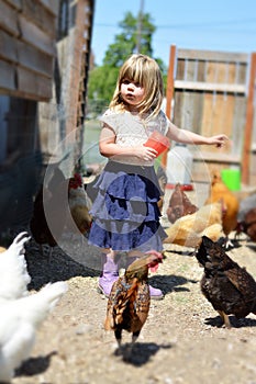 Little Girl feeding chickens