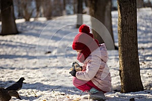 Little girl feeding ducks