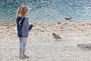 Little girl feeding ducks at Black Lake in