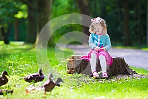 Little girl feeding ducks in a park