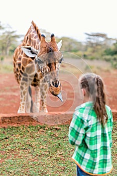 Cute little girl feeding giraffes in Africa