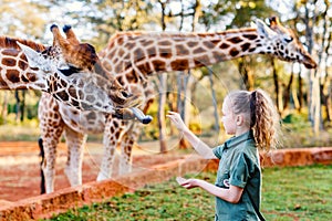 Little girl feeding giraffes