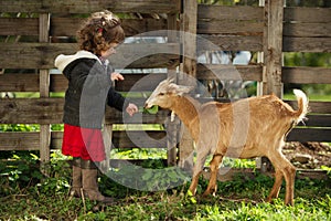 Little girl feeding goat in the garden