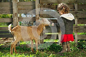 Little girl feeding goat in the garden