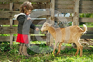 Little girl feeding goat in the garden