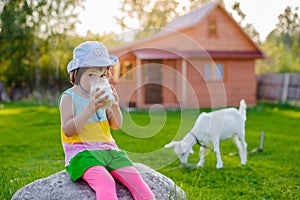 A little girl is feeding a goat on the lawn a sunny summer, in a country in Russia.