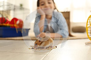 Little girl feeding her hamster at home, focus on pet