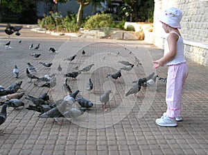 Little girl feeding pigeons