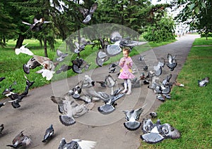 Little girl feeding pigeons.