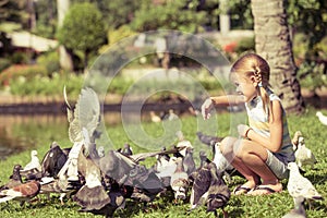 Little girl feeding pigeons in the park