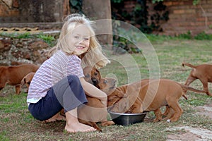 Little girl feeding puppies