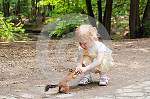 Little girl feeding squirrel