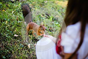 Little girl feeding squirrel at park