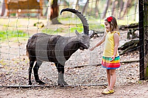 Little girl feeding wild goat at the zoo