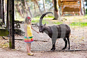 Little girl feeding wild goat at the zoo