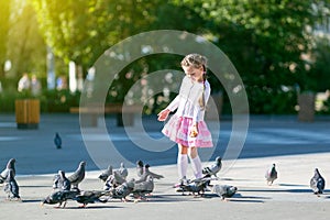 A little girl feeds pigeons.