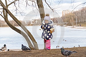 Little girl feeds pigeons in winter