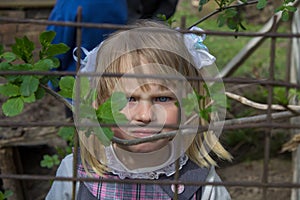 Little girl on fence