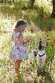 Little girl in on a flower field