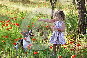 little girl in on a flower field